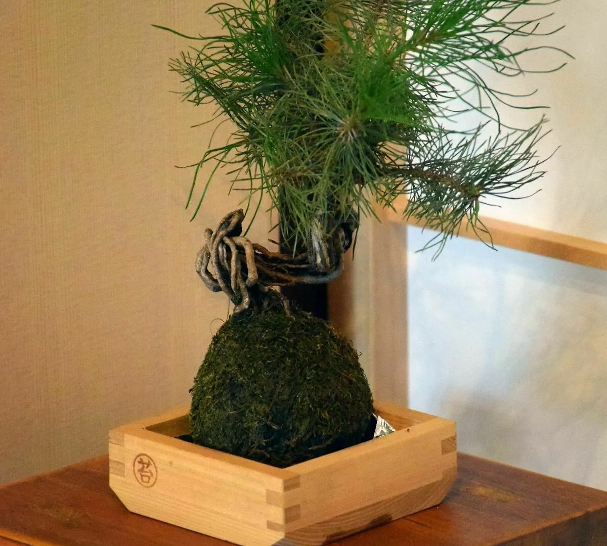 Guesthouse Hanamiya Kyoto Holiday home
